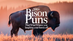 200+ Bison Puns That’ll Have You Laughing Your Horns Off