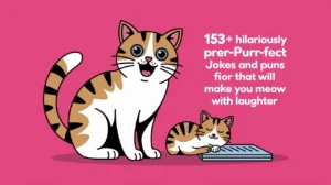 Hilariously Purr-fect Cat Jokes and Puns That Will Make You Meow With Laughter